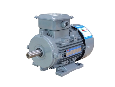 YXL系列高效率鋁機(jī)殼三相異步電動(dòng)機