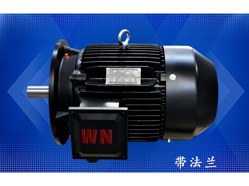 10 多級(ji)泵專用電機（1）