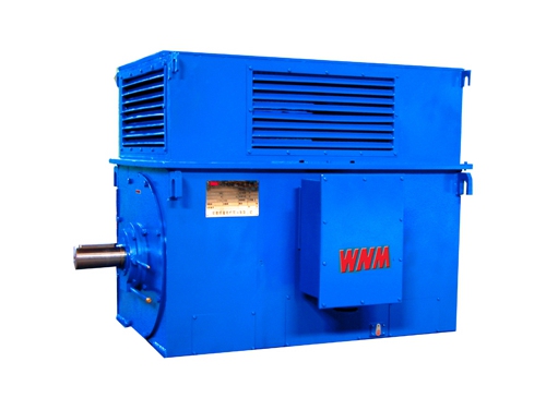 8 Y系列中(zhong)型高壓(yā)高效電(diàn)動機