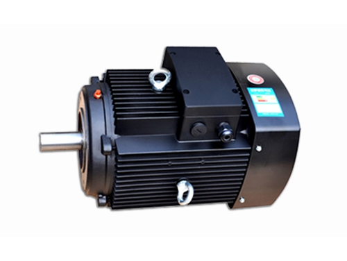 6 多級(jí)泵專用電(diàn)機（2）