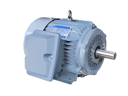 3 NE系列高效高轉(zhuǎn)矩三相異步電(diàn)動機