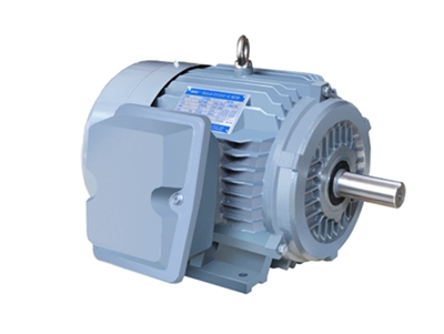 NE系列高效(xiao)高轉矩三相異步(bù)電動機