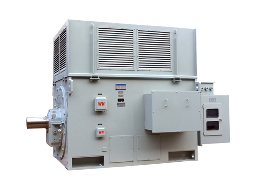 1 YR系列(lie)高壓三相異步電(dian)動機