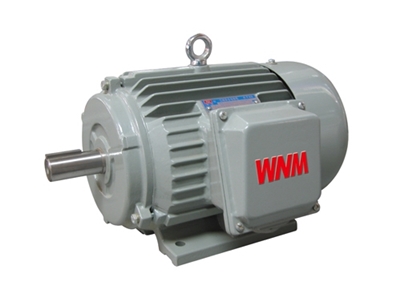 YJZ2系列(liè)機床專用三(sān)相異步電動(dong)機