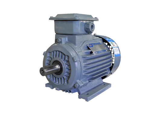 1 YX3系列(lie)超高效(xiao)三相異(yi)步電動(dòng)機