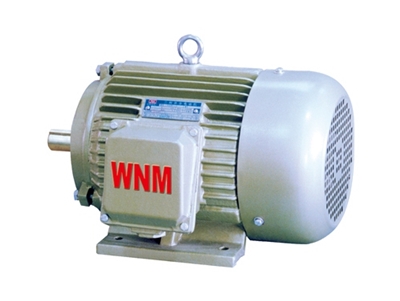 YD2系列(liè)變極多速三相(xiàng)異步電動機