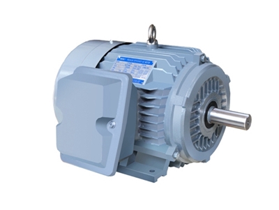 NE系(xi)列高效(xiào)高轉矩(jǔ)三相異(yi)步電動(dòng)機
