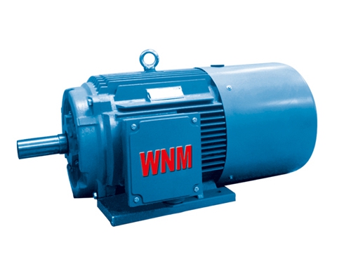 2 YZC系列(liè)低振動低噪聲(shēng)三相異步電動(dòng)機