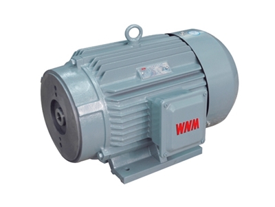 YYB系(xi)列油泵專用(yòng)三相異步電(diàn)動機