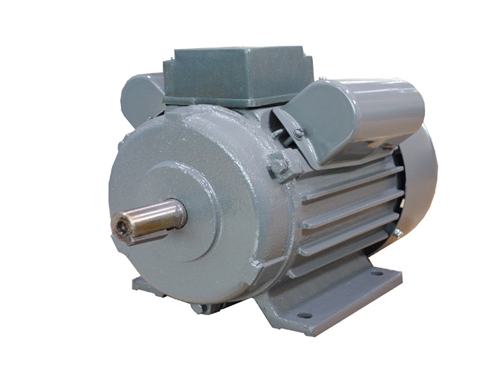 2 YL系列雙(shuang)值電容(rong)異步電(dian)動機